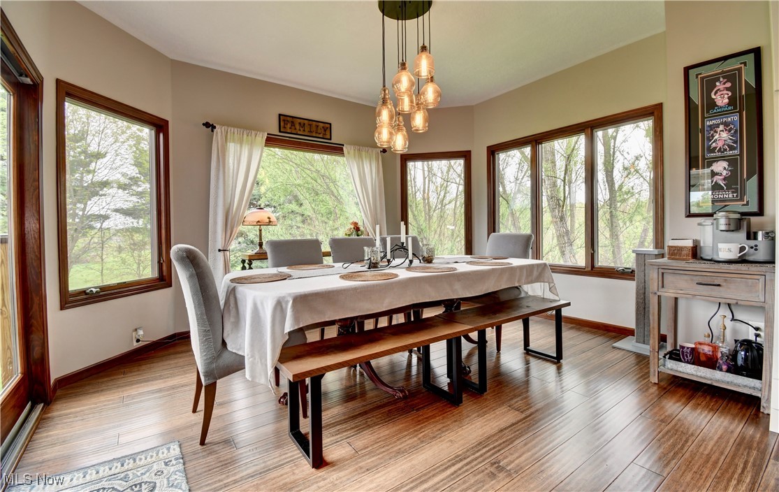 10165 Laurens Drive, Bolivar, Ohio image 21