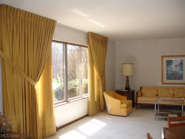 Louis Luxenbergs South Woodla - Residential