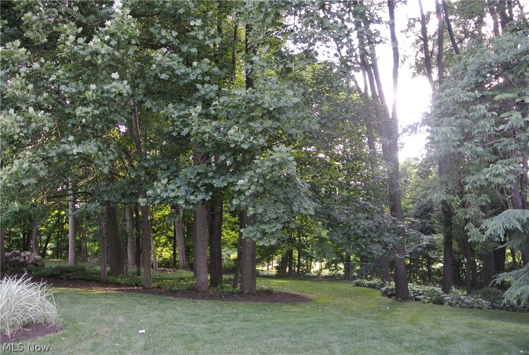 Steeple Chase - Residential