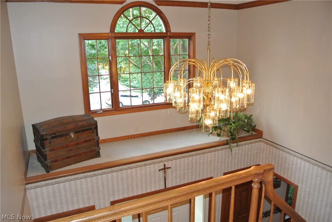 Steeple Chase - Residential