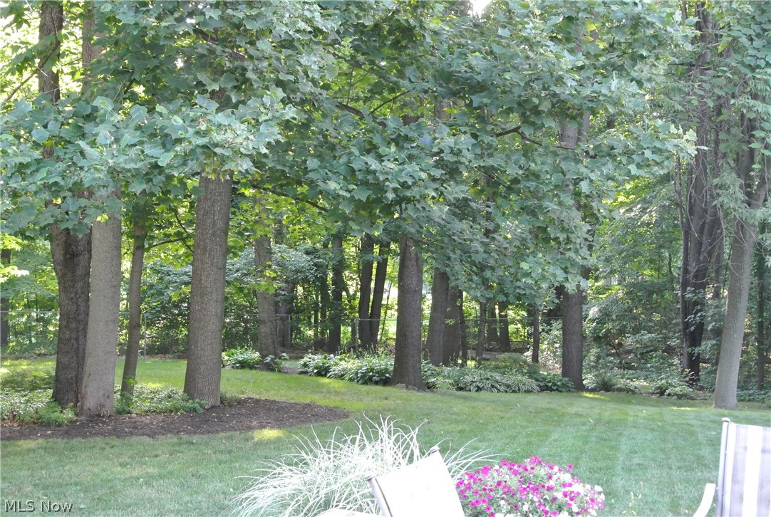 Steeple Chase - Residential