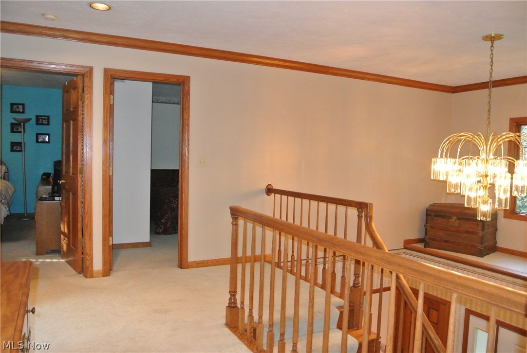 Steeple Chase - Residential