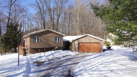 8266 Pebble Creek Court Chagrin Falls OH 44023