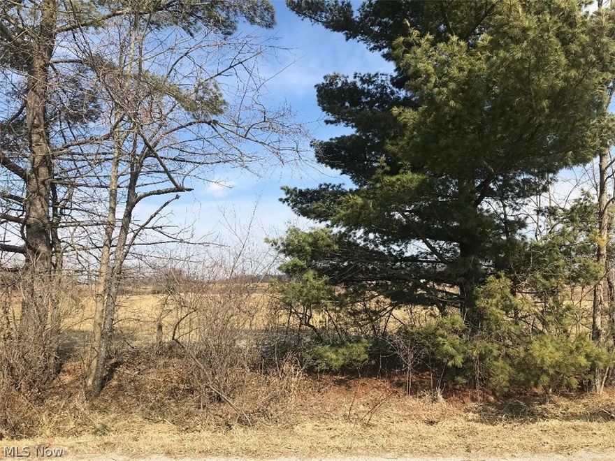 Scenic, tranquil 10-acre spot for that home you've been planning to build! 150' of frontage that goes back 1,776 feet! Woods in the back but cleared in the front for easy building! Plenty of space for you to have your gardens or an outbuilding for your RV, boat and other Big Toys. Or maybe a place for you to tinker on your cars or set up that woodworking shop you've always wanted!  So many options! Interest rates are still low; now is the time to buy! (Additional 11-acre parcel at 714 Twp. Rd. 462 is adjacent to this property and is also for sale. See MLS listing 4353302).
