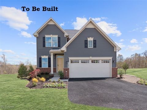 S/L 43 Sandmill Run Drive Amherst OH 44053