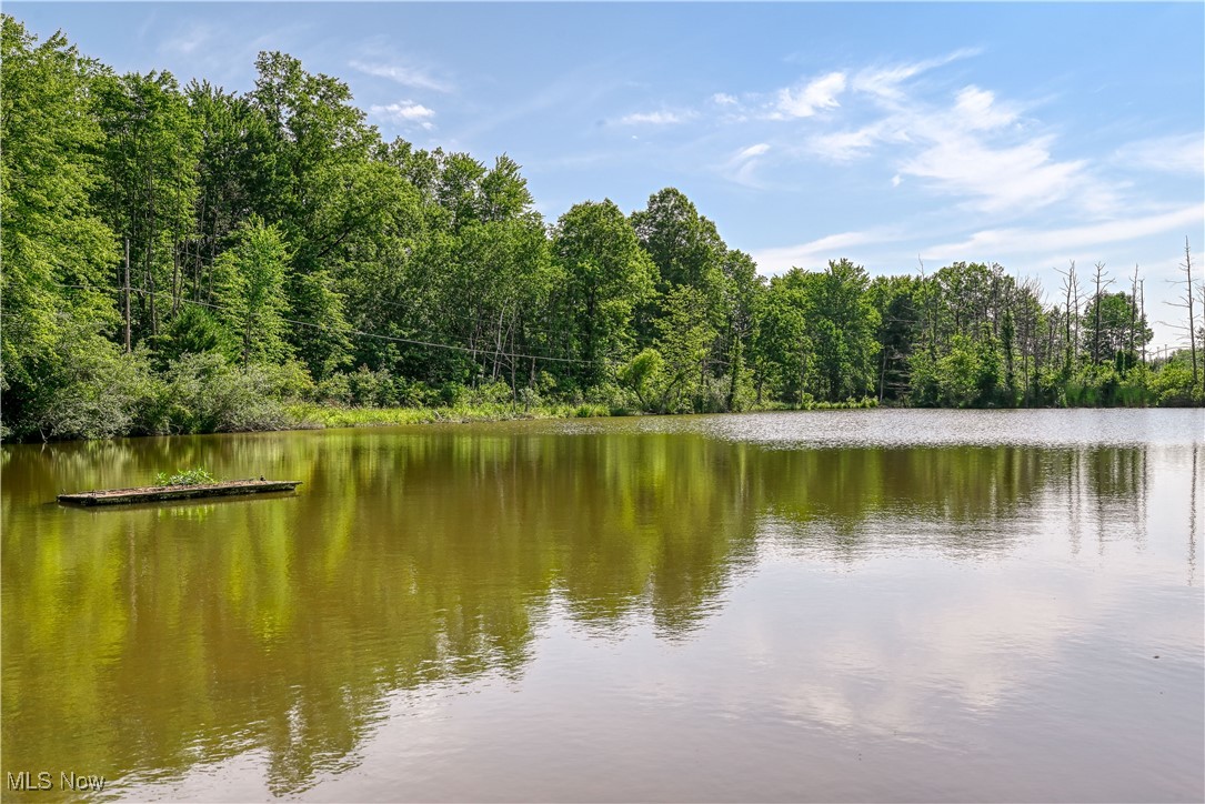 Diamond, Ohio 44412, United States, 3 Bedrooms Bedrooms, ,2 BathroomsBathrooms,Residential,Active,156047