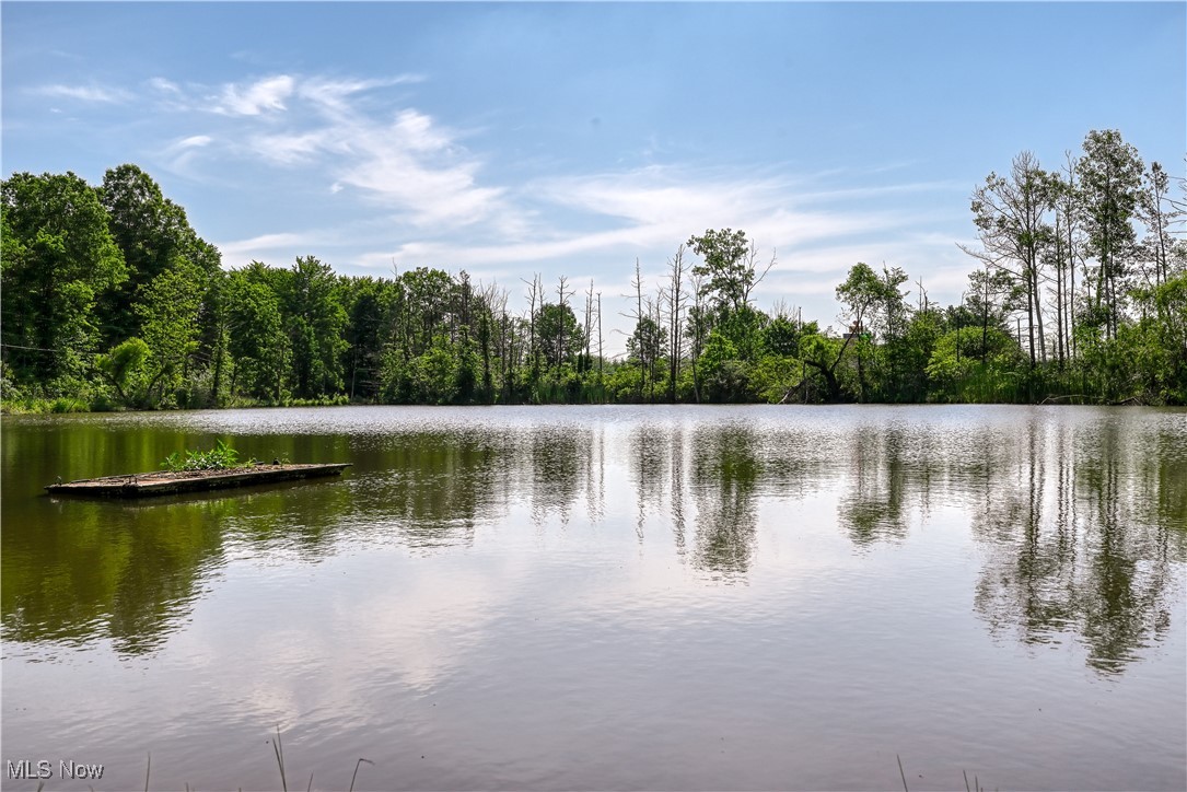 Diamond, Ohio 44412, United States, 3 Bedrooms Bedrooms, ,2 BathroomsBathrooms,Residential,Active,156047