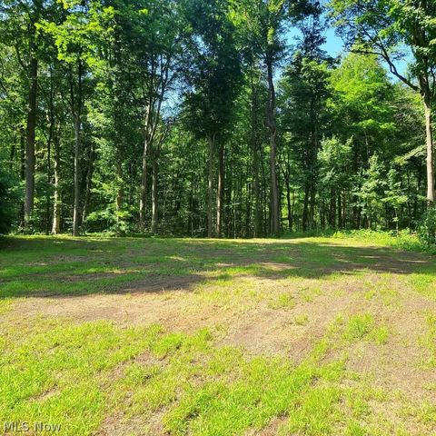 Vacant Land For Sale - S/L 25 AND S/L 26 Old Mill Road<br/> Lake County, Madison, OH 44057