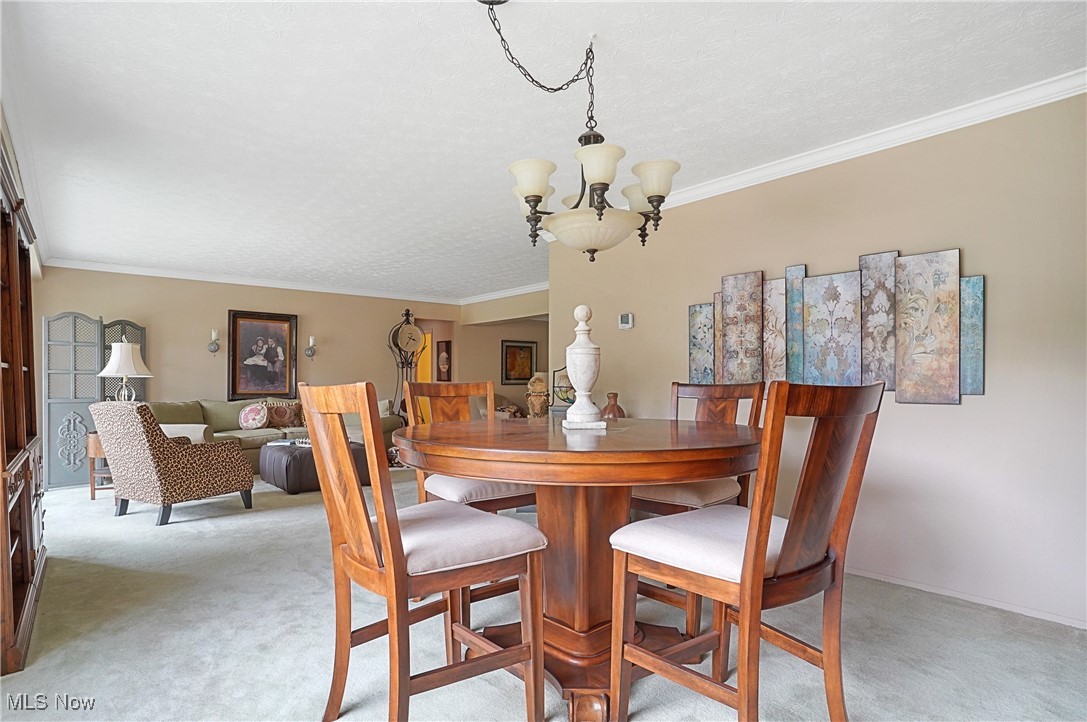 186 Court Drive #201, Fairlawn, Ohio image 10