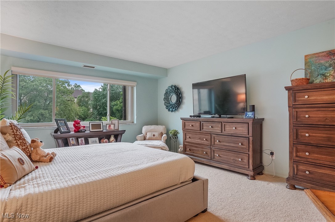 186 Court Drive #201, Fairlawn, Ohio image 23