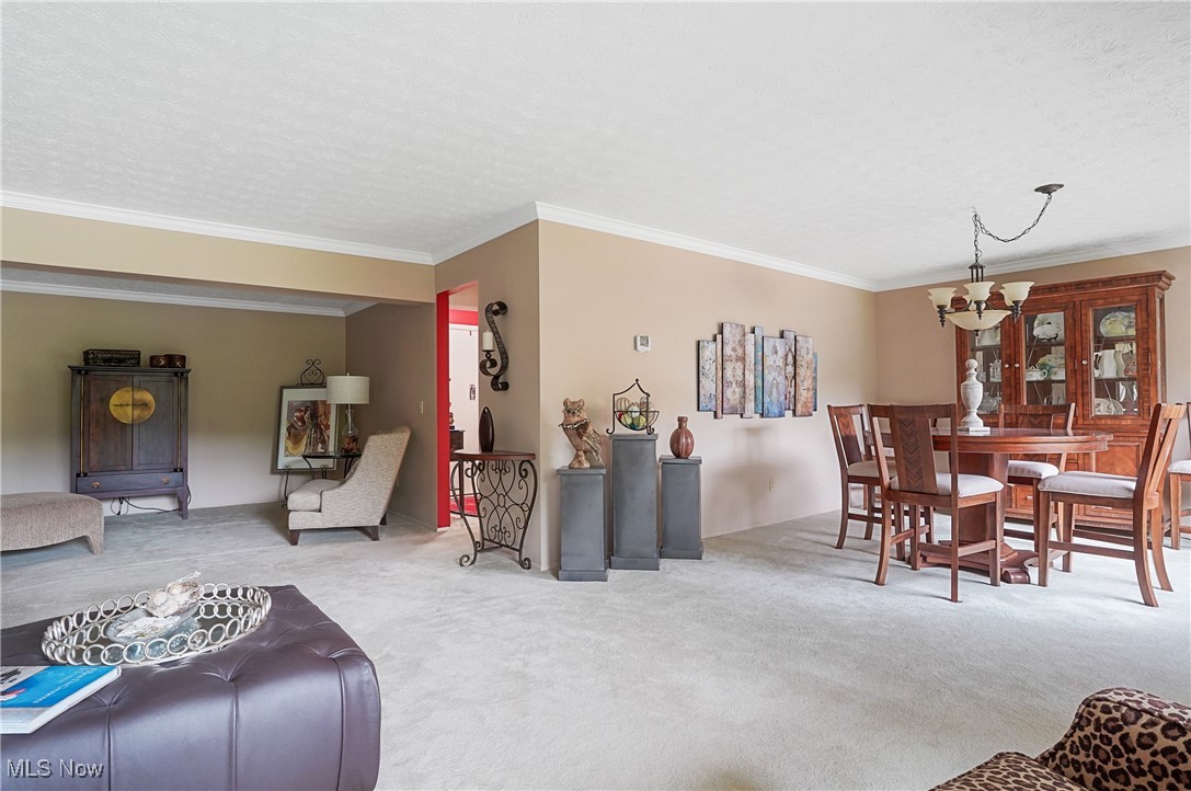 186 Court Drive #201, Fairlawn, Ohio image 11