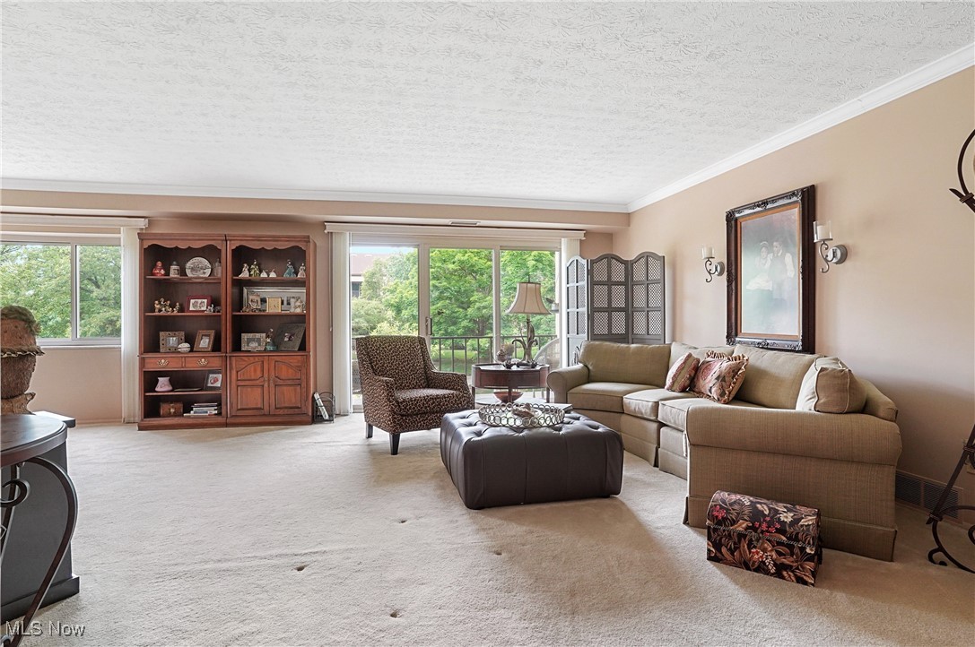 186 Court Drive #201, Fairlawn, Ohio image 3