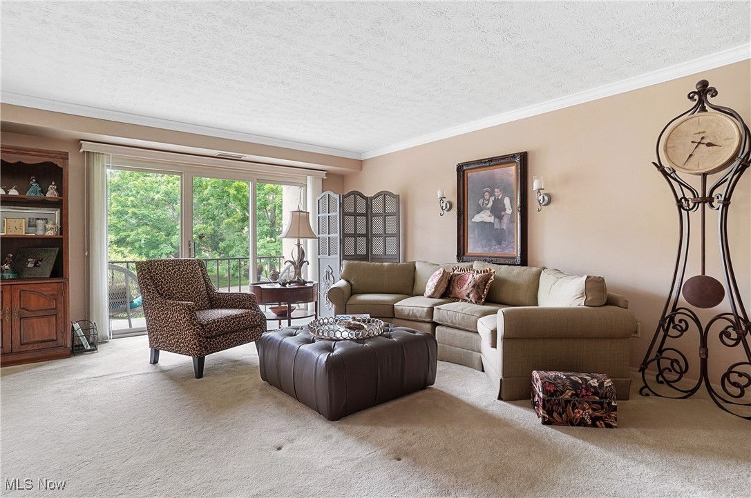 186 Court Drive #201, Fairlawn, Ohio image 4