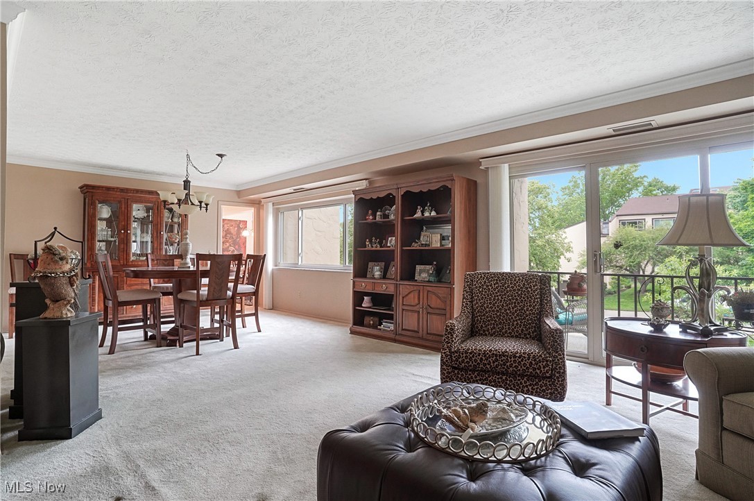 186 Court Drive #201, Fairlawn, Ohio image 5