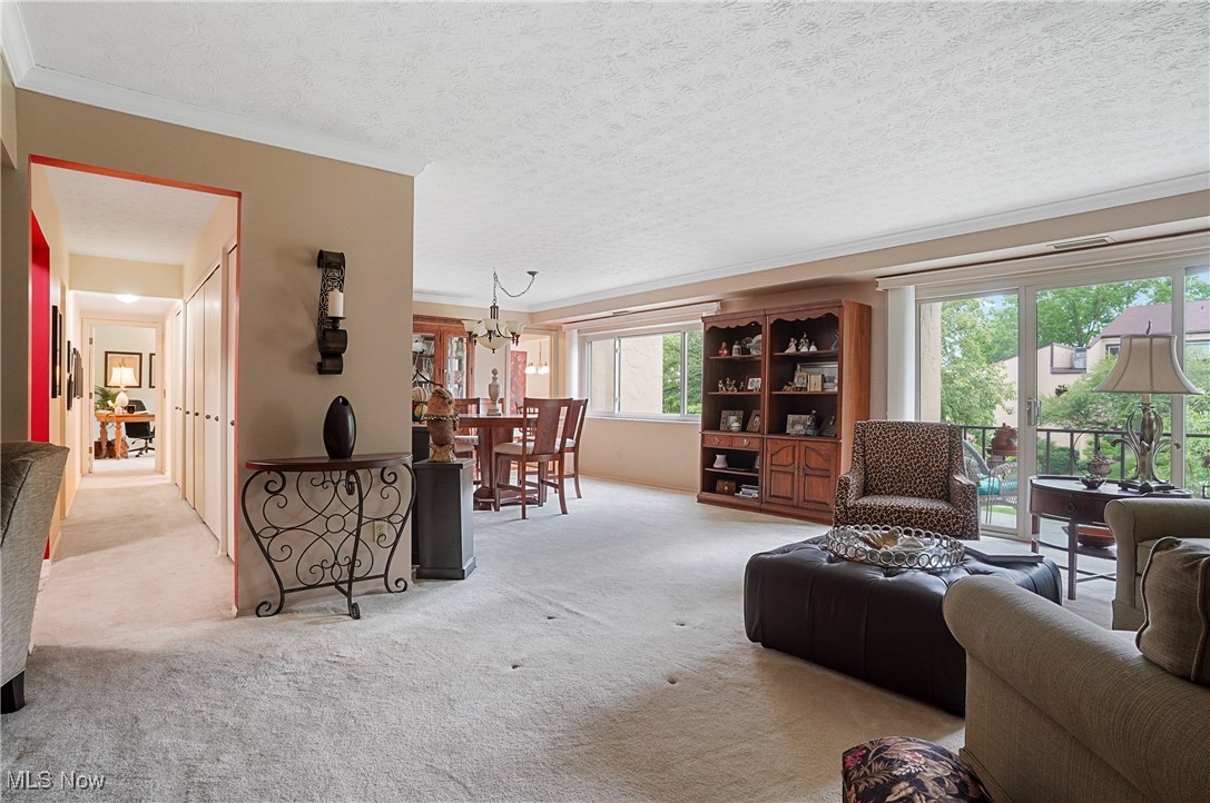 186 Court Drive #201, Fairlawn, Ohio image 12