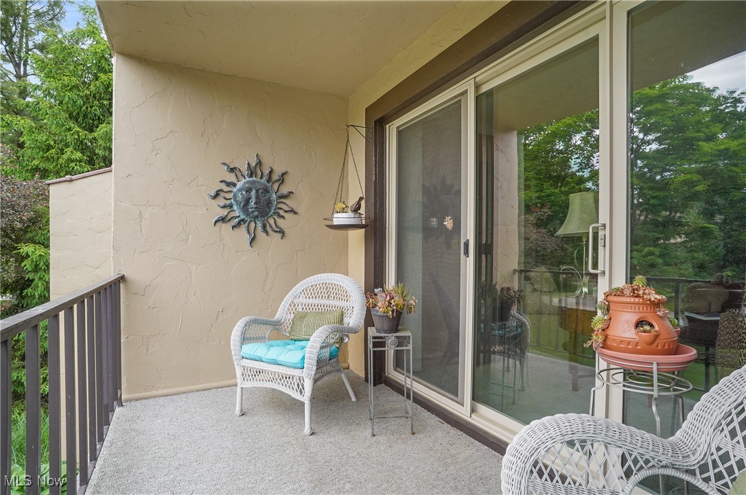 186 Court Drive #201, Fairlawn, Ohio image 39