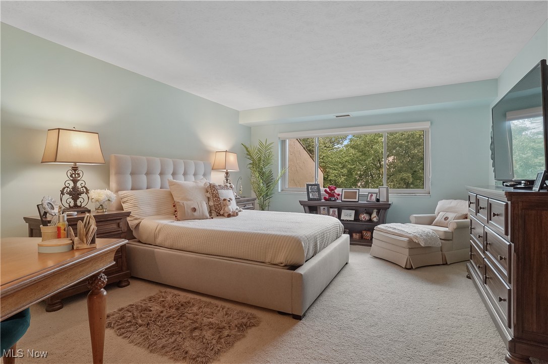 186 Court Drive #201, Fairlawn, Ohio image 22