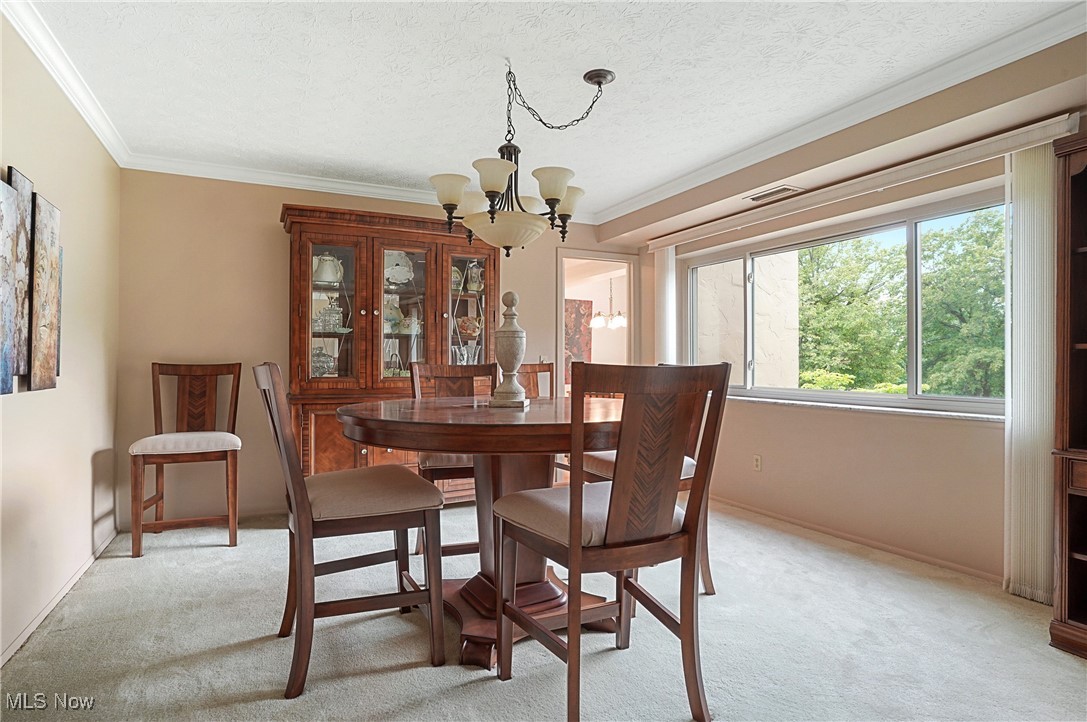 186 Court Drive #201, Fairlawn, Ohio image 9
