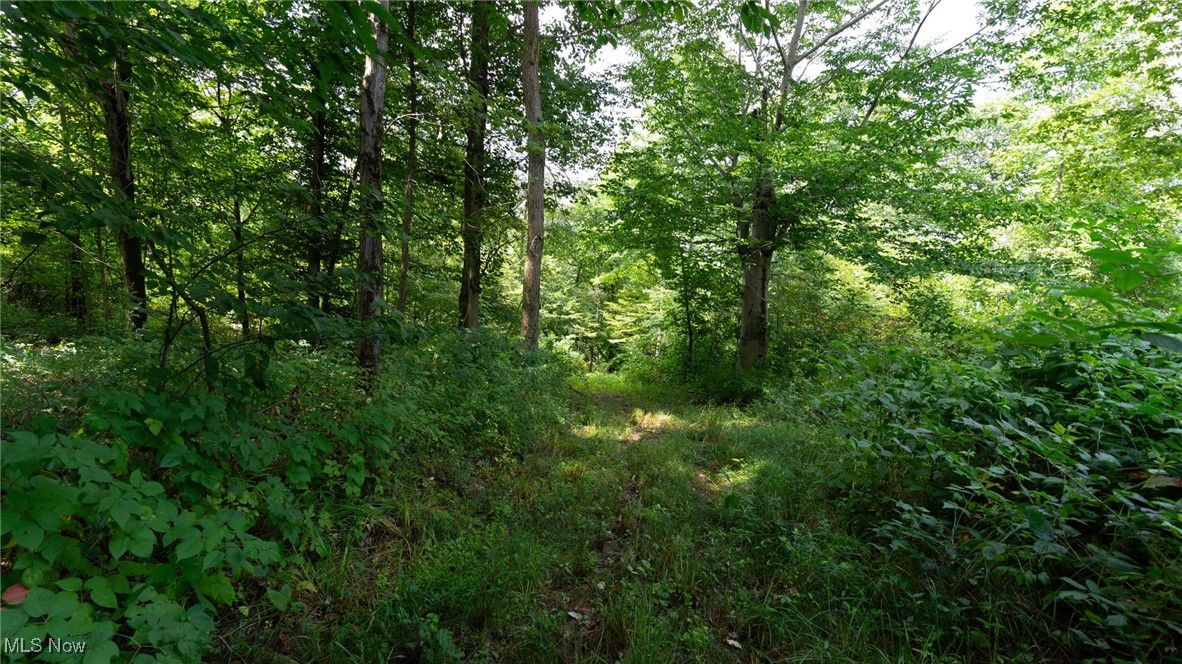 Basket Road, Quaker City, Ohio image 40