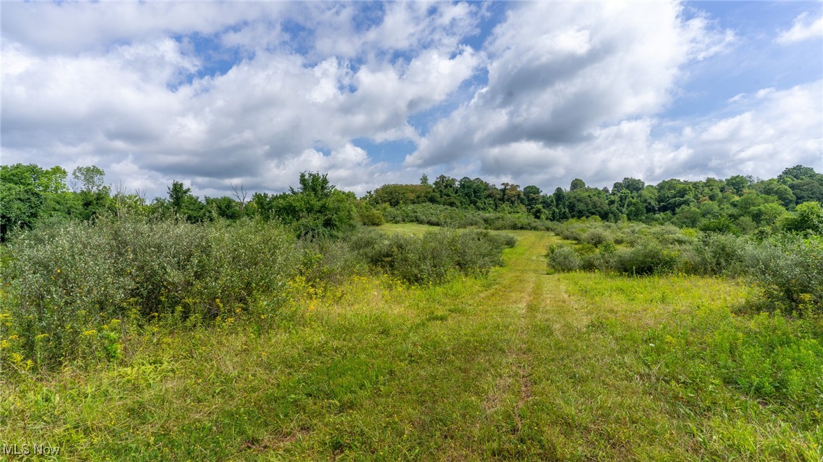 Basket Road, Quaker City, Ohio image 37