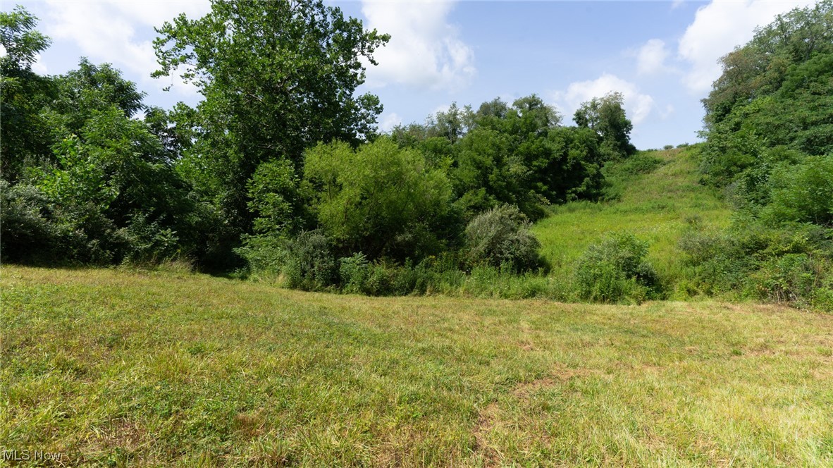 Basket Road, Quaker City, Ohio image 41