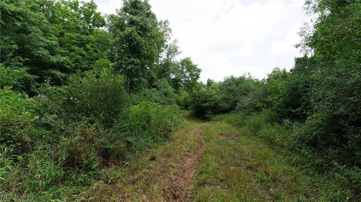 Basket Road, Quaker City, Ohio image 36