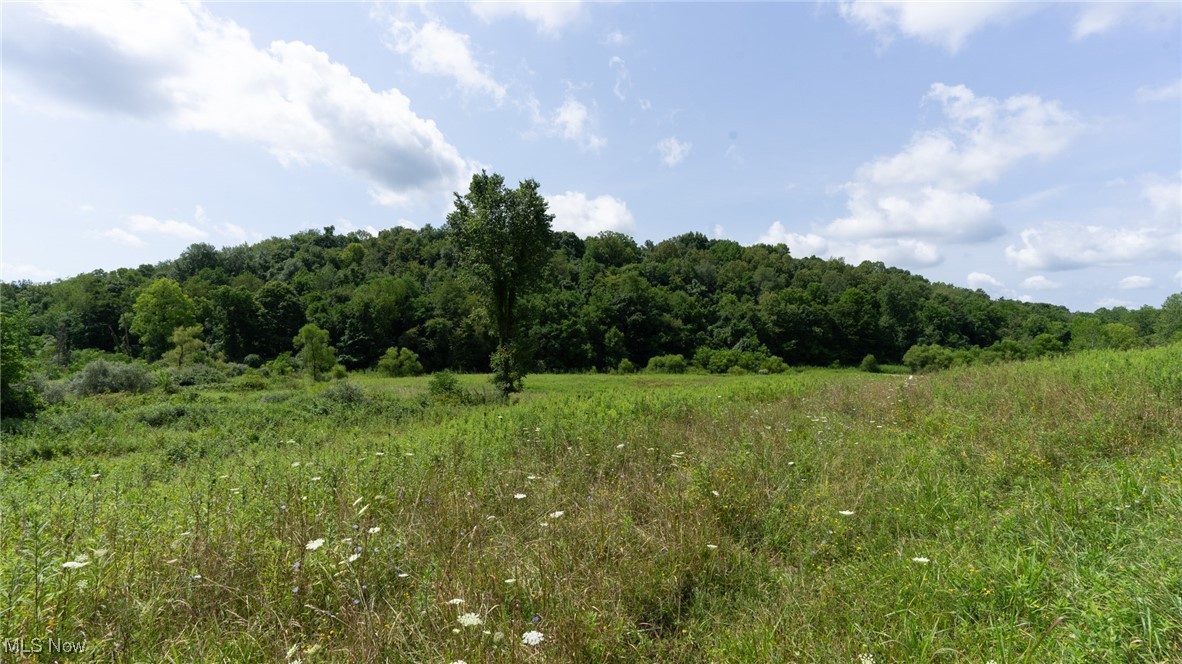 Basket Road, Quaker City, Ohio image 22