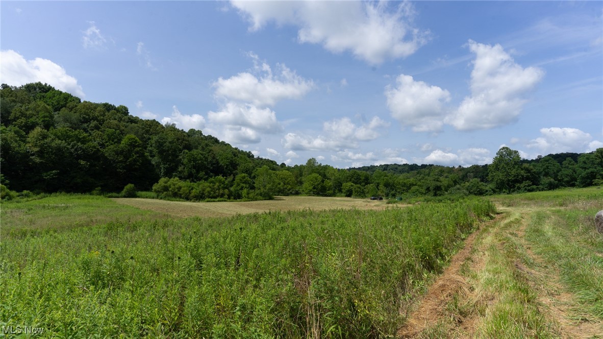 Basket Road, Quaker City, Ohio image 23