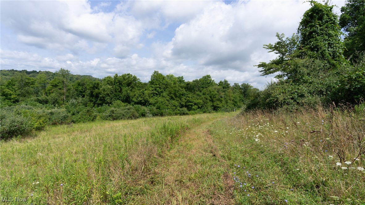 Basket Road, Quaker City, Ohio image 35