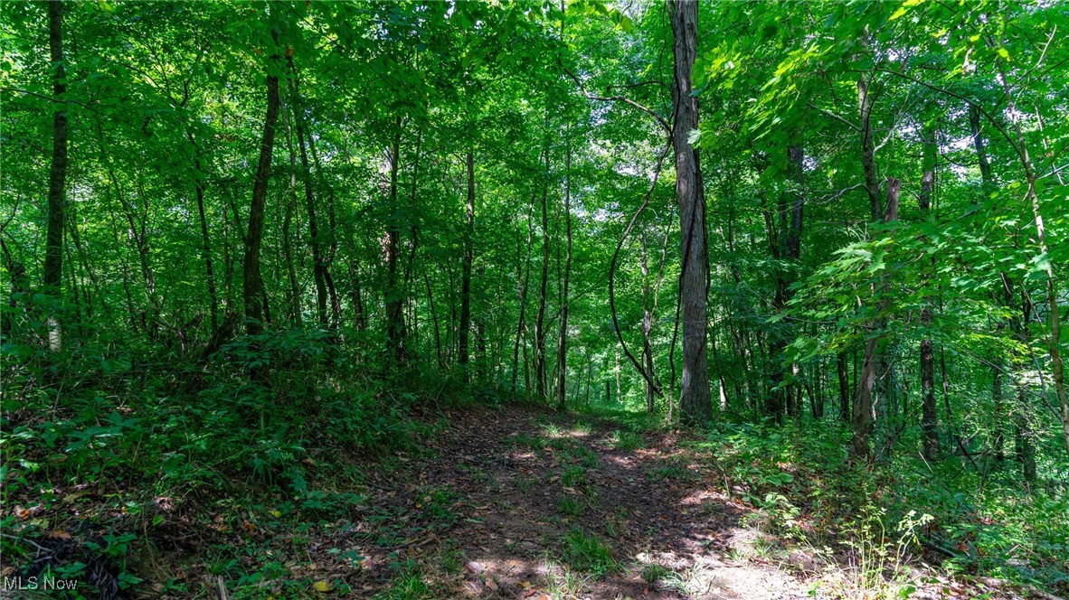 Basket Road, Quaker City, Ohio image 39