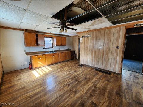 Tiny photo for 167 S Market Street, East Palestine, OH 44413 (MLS # 5163479)