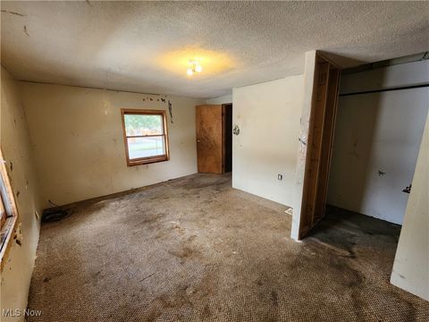 Tiny photo for 167 S Market Street, East Palestine, OH 44413 (MLS # 5163479)
