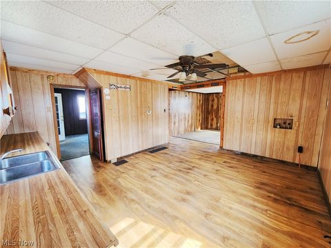Tiny photo for 167 S Market Street, East Palestine, OH 44413 (MLS # 5163479)