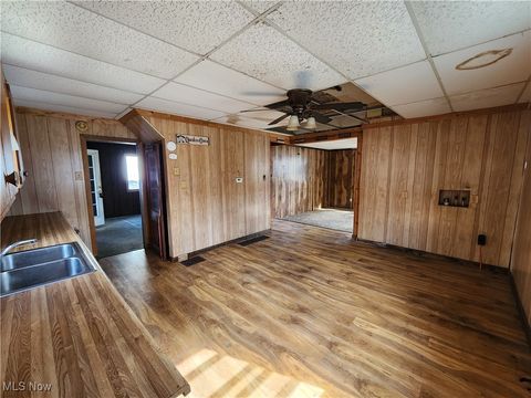 Tiny photo for 167 S Market Street, East Palestine, OH 44413 (MLS # 5163479)