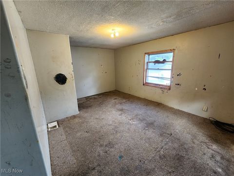 Tiny photo for 167 S Market Street, East Palestine, OH 44413 (MLS # 5163479)