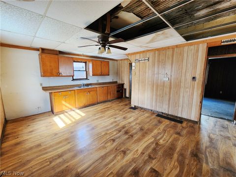 Tiny photo for 167 S Market Street, East Palestine, OH 44413 (MLS # 5163479)