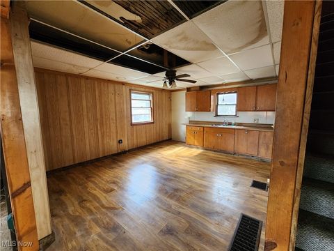 Tiny photo for 167 S Market Street, East Palestine, OH 44413 (MLS # 5163479)