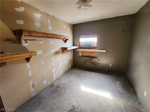 Tiny photo for 167 S Market Street, East Palestine, OH 44413 (MLS # 5163479)