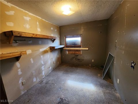 Tiny photo for 167 S Market Street, East Palestine, OH 44413 (MLS # 5163479)