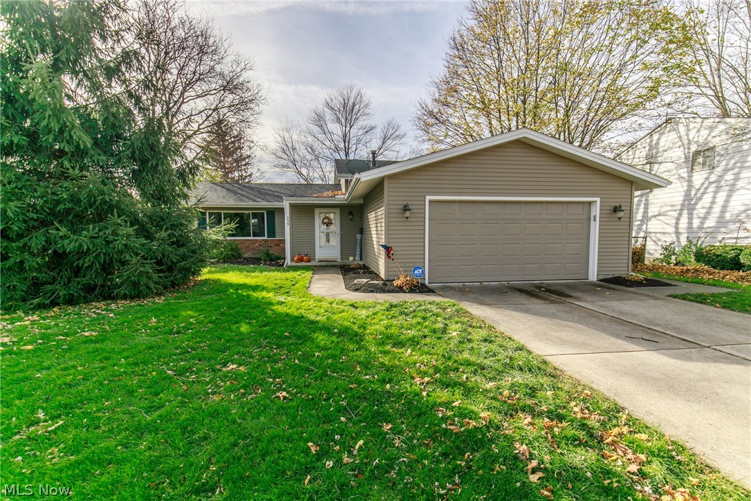 Baldest - Residential