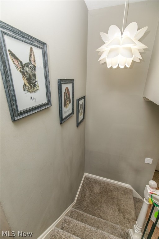 Baldest - Residential