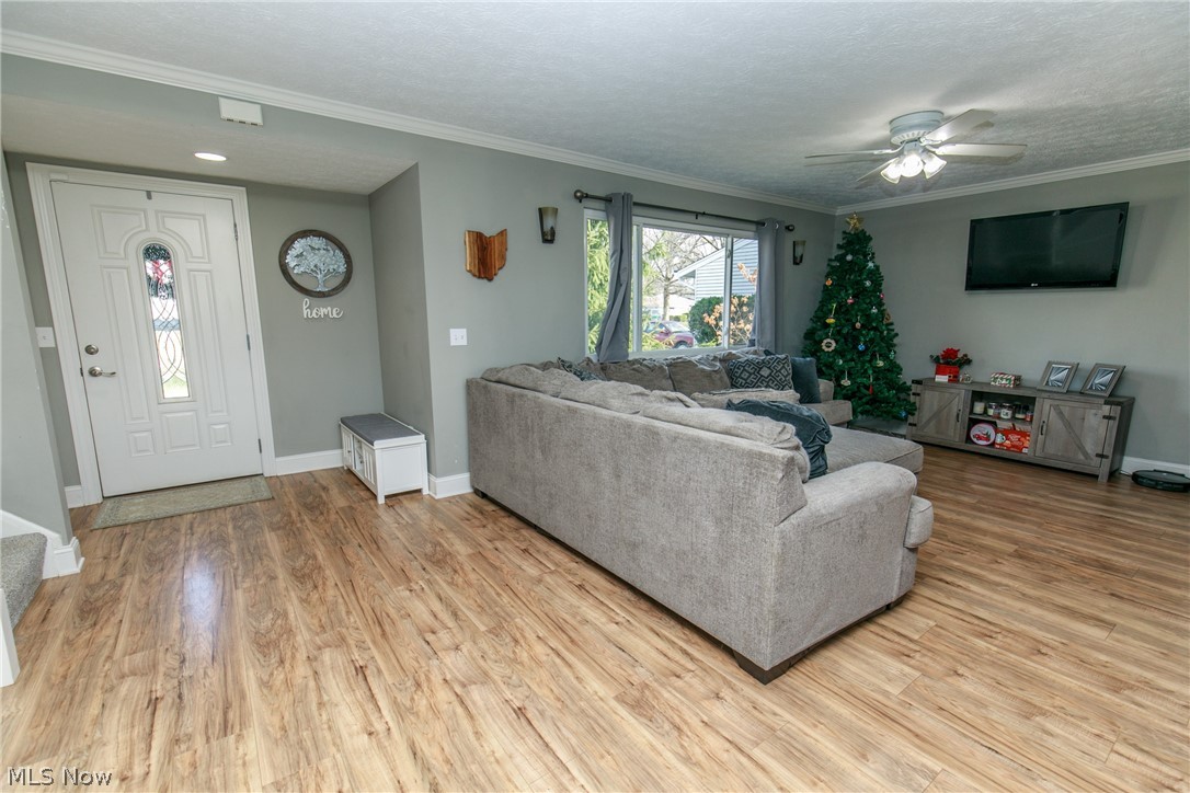 Baldest - Residential