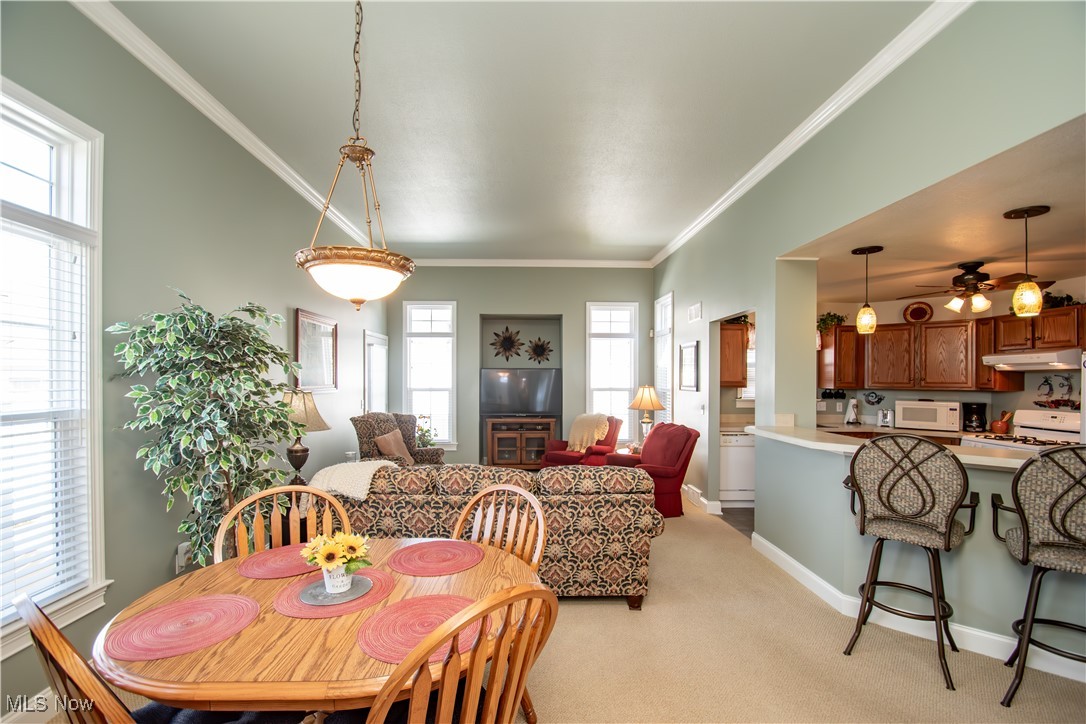 125 Fitch Boulevard #280, Youngstown, Ohio image 9