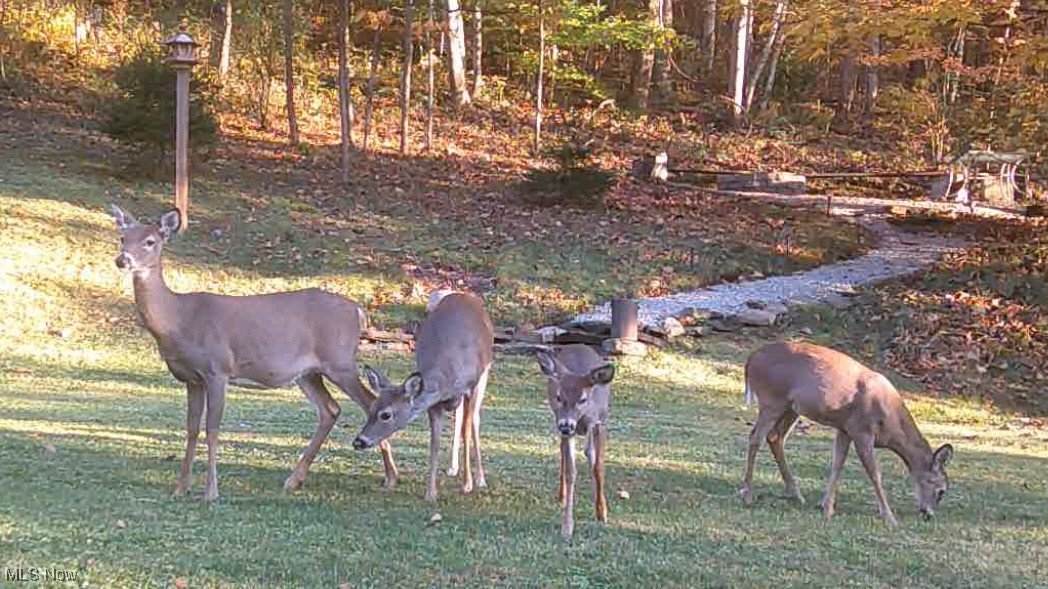 Lewisville, Ohio 43754, United States, 2 Bedrooms Bedrooms, ,1 BathroomBathrooms,Residential,Active,178311