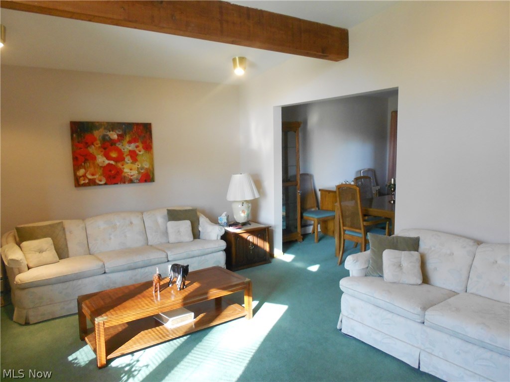 Horak Acres - Residential