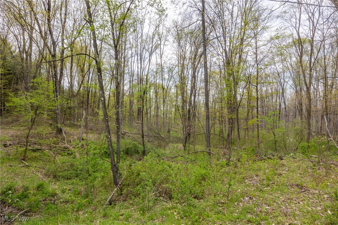 Crosby Creek Road, Rome, Ohio image 19
