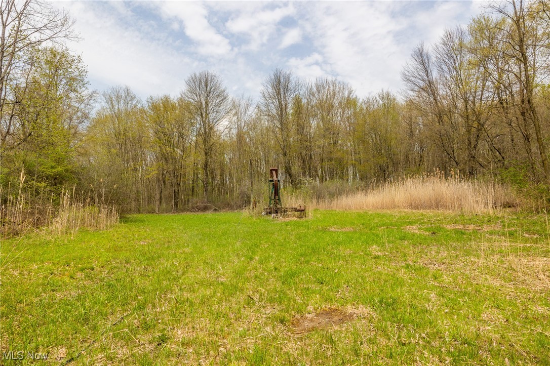 Crosby Creek Road, Rome, Ohio image 28
