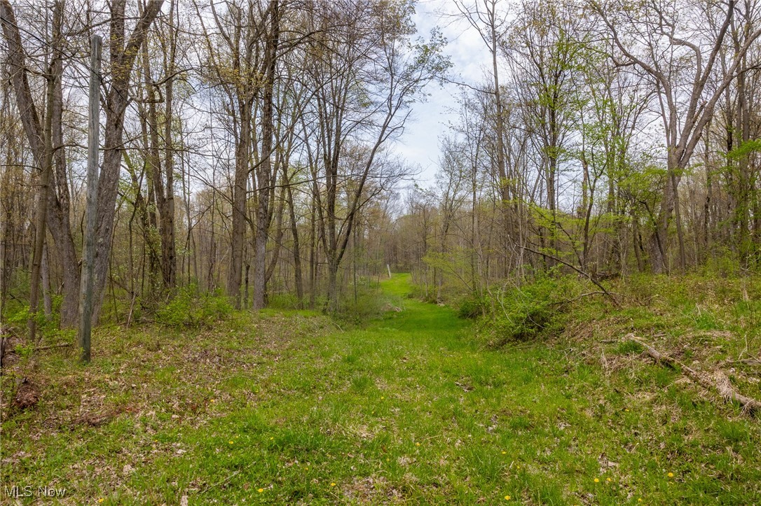 Crosby Creek Road, Rome, Ohio image 21