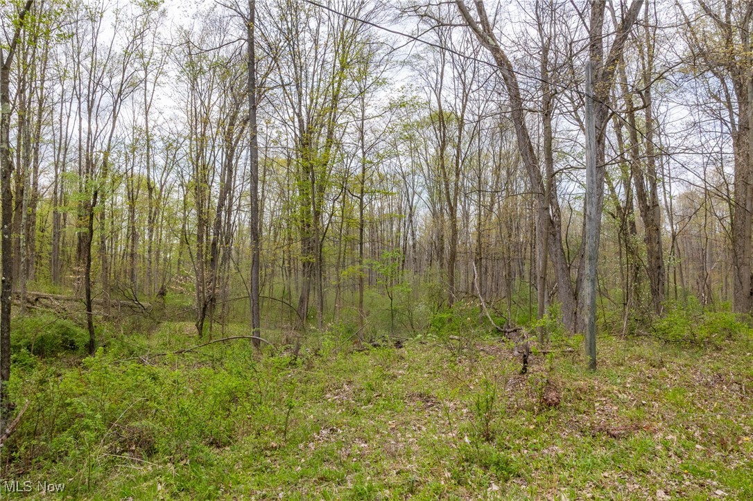 Crosby Creek Road, Rome, Ohio image 20