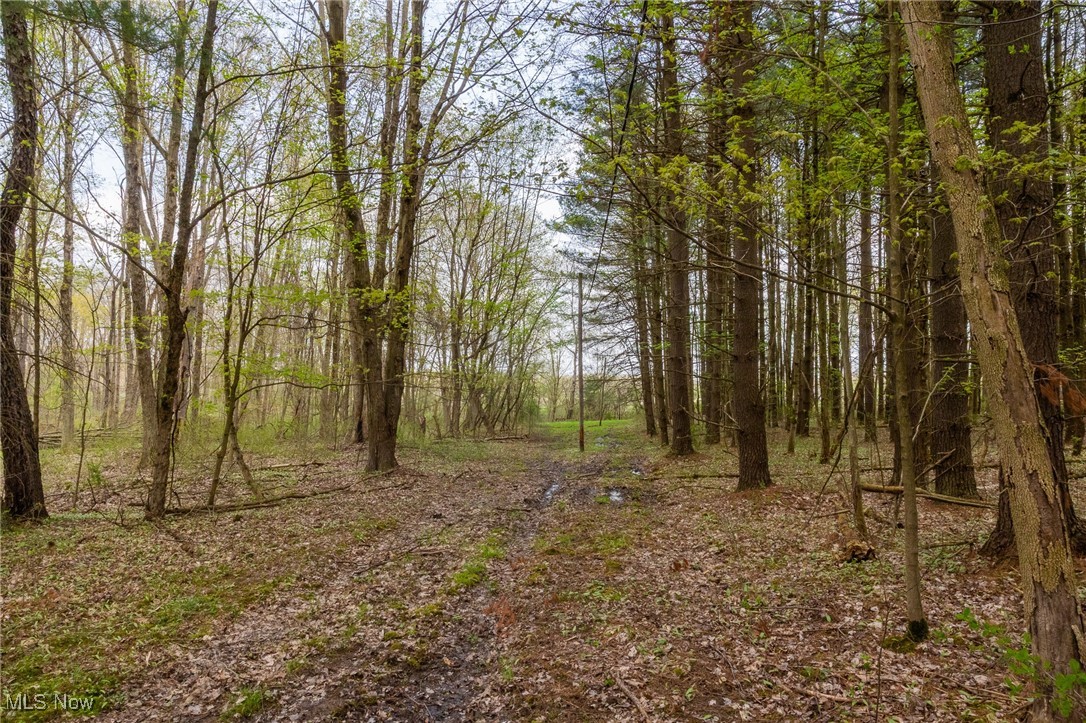 Crosby Creek Road, Rome, Ohio image 18